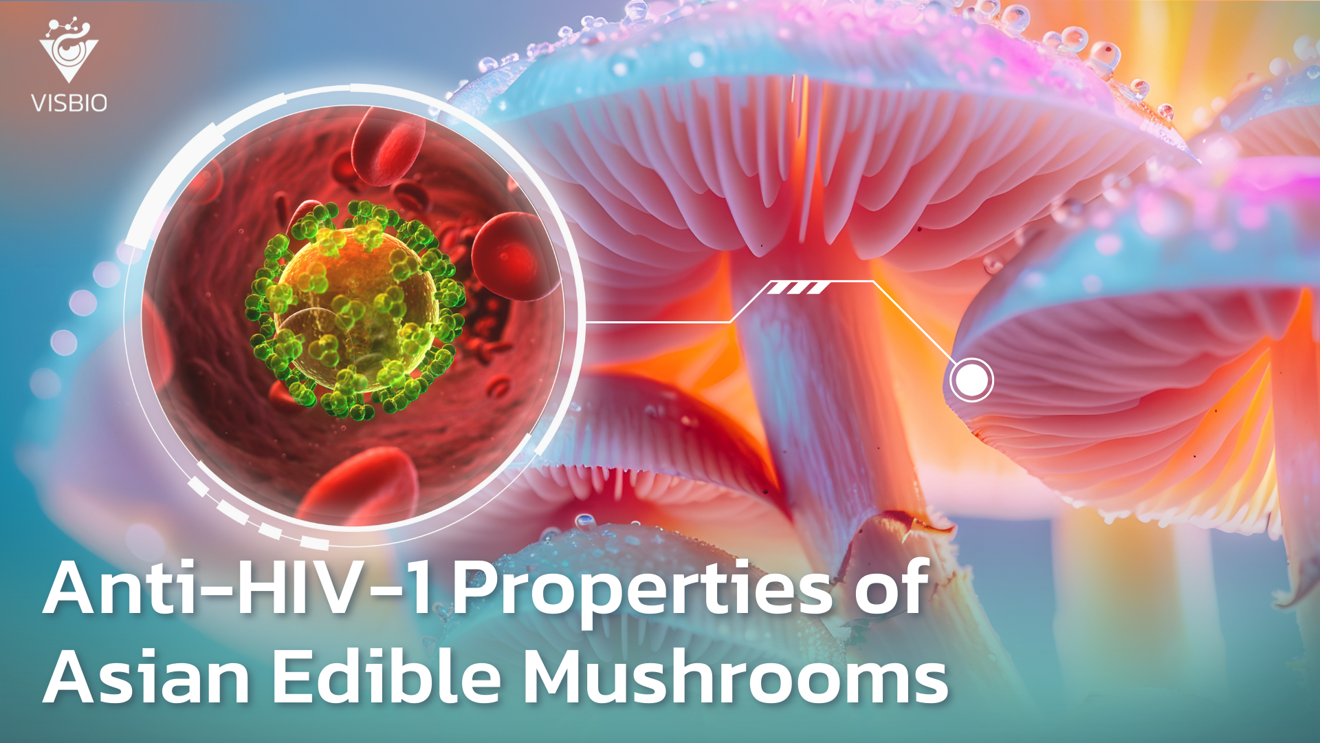 Anti-HIV-1 Reverse Transcriptase Properties of Edible Mushrooms in Asia