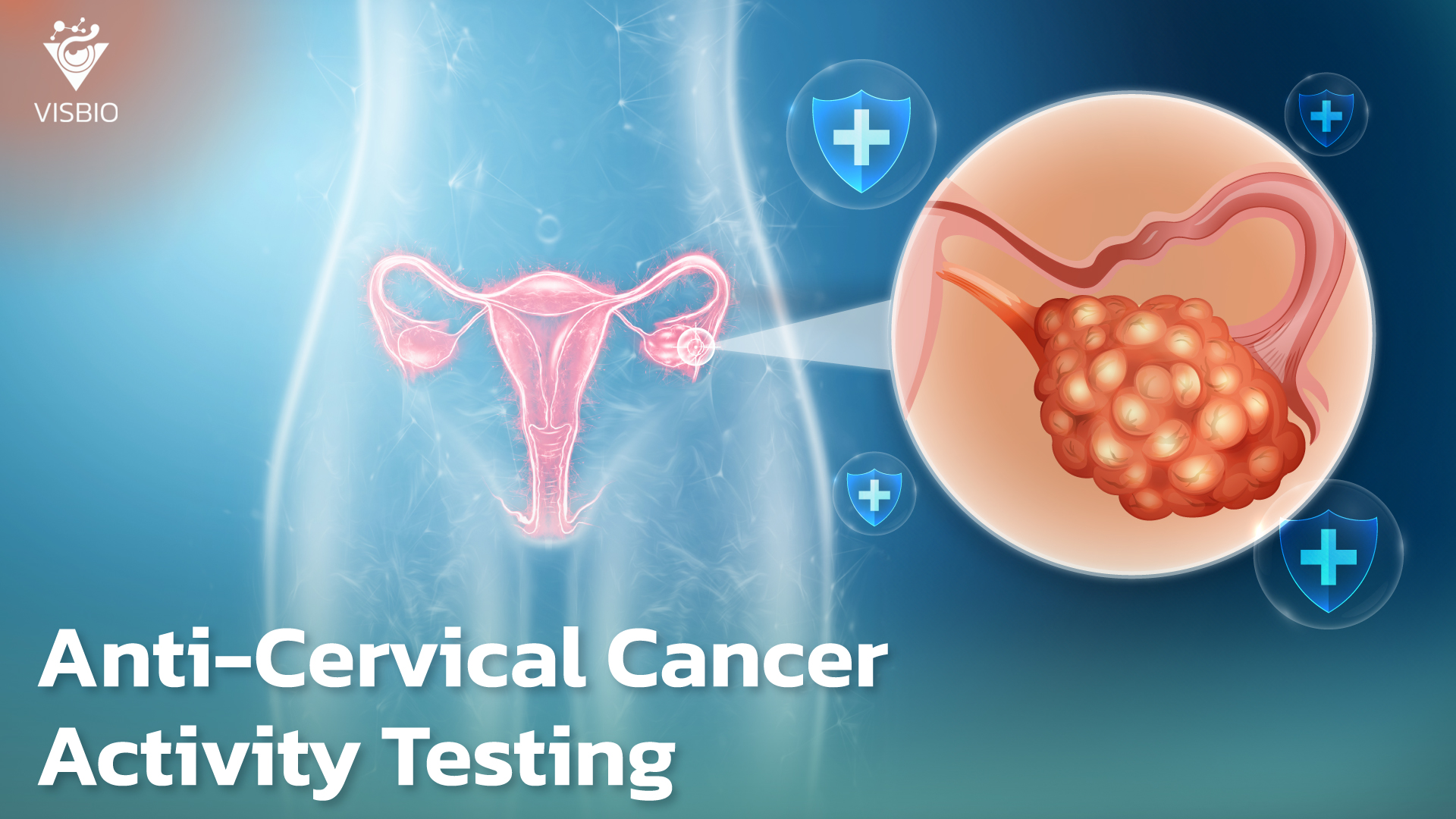 Service for Testing the Inhibitory Effects on Cervical Cancer Cells