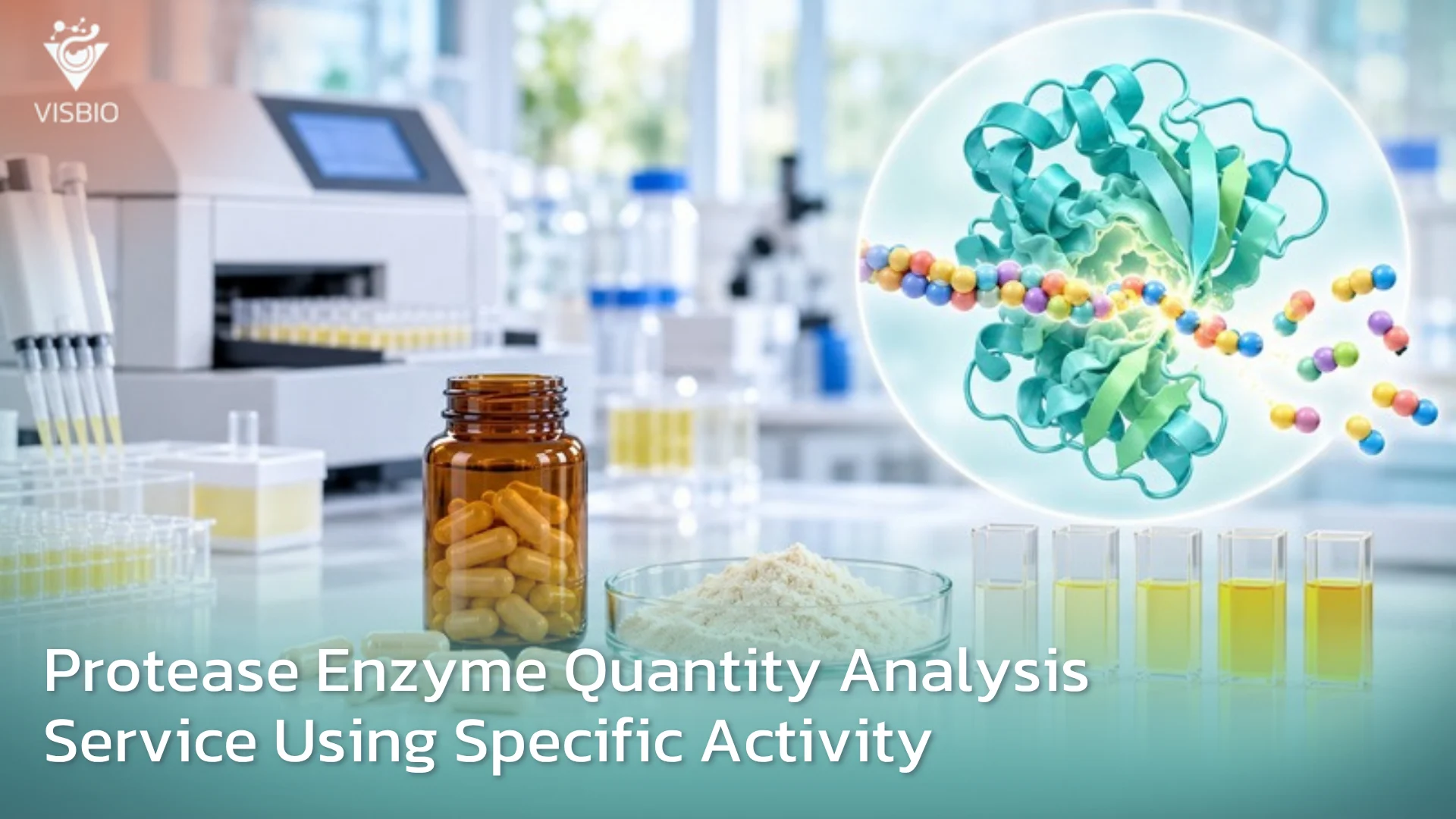 บริการวิเคราะห์ทดสอบปริมาณเอนไซม์โปรติเอส Protease enzyme