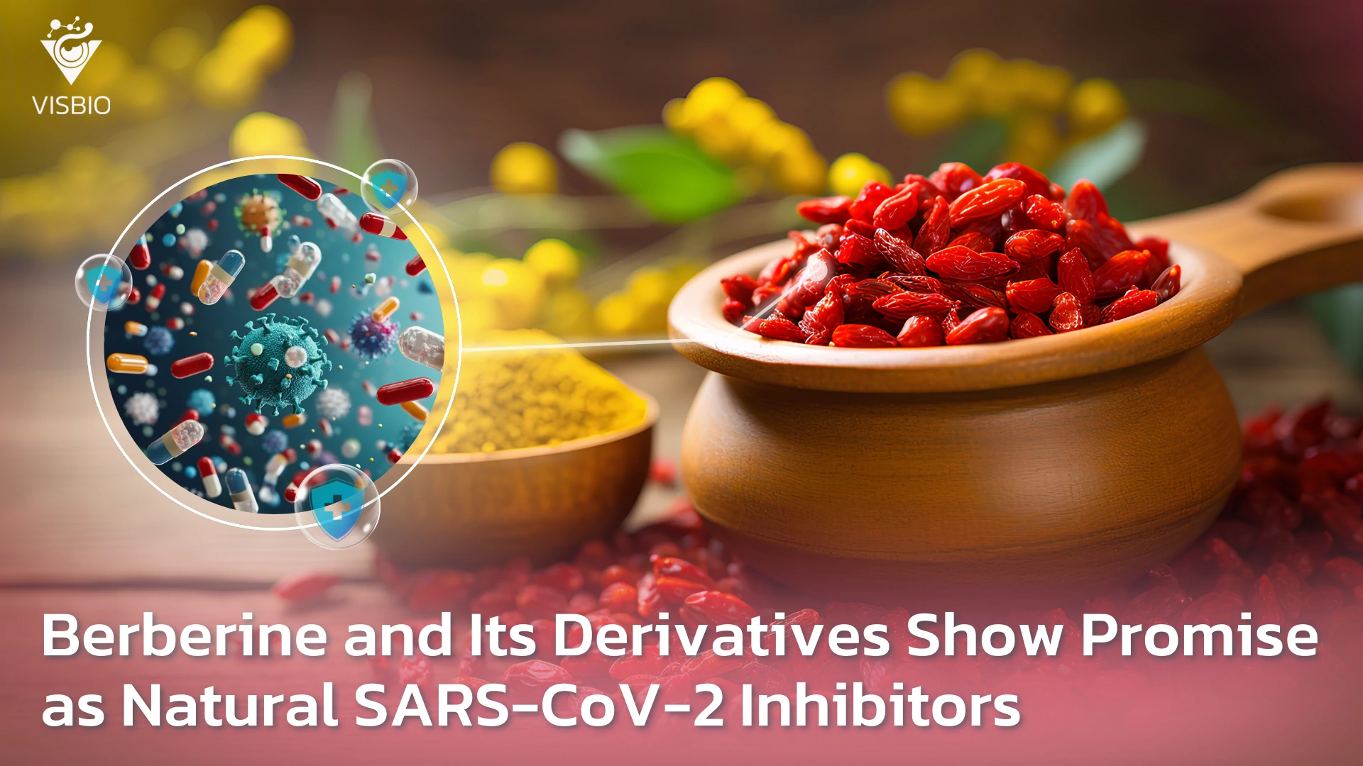 Berberine และอนุพันธ์แสดงศักยภาพในการยับยั้งโปรตีเอสของ SARS-CoV-2: การศึกษา Molecular Docking และ In Silico