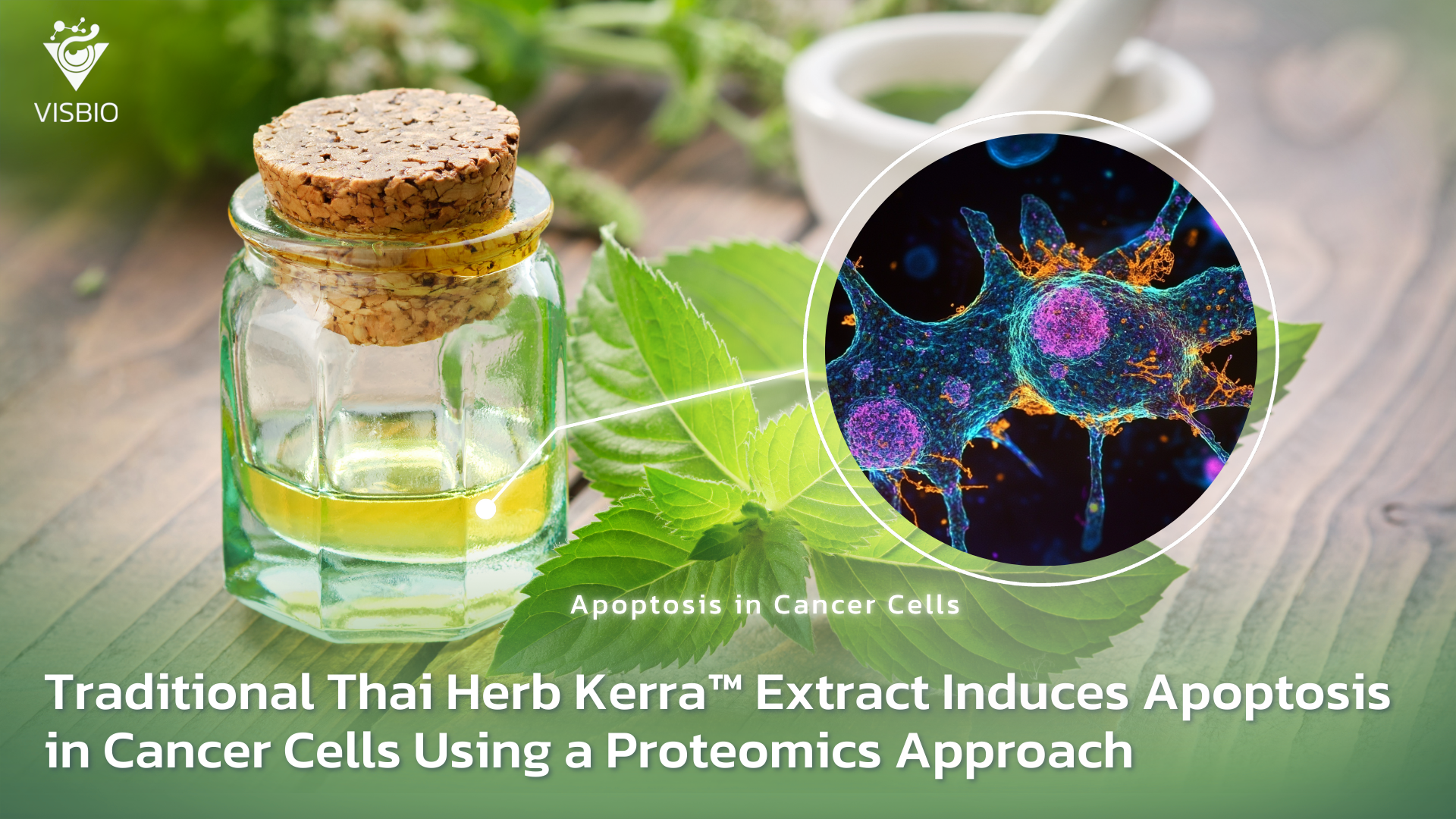 Traditional Thai Herb Kerra™ Extract Induces Apoptosis in Cancer Cells Using a Proteomics Approach