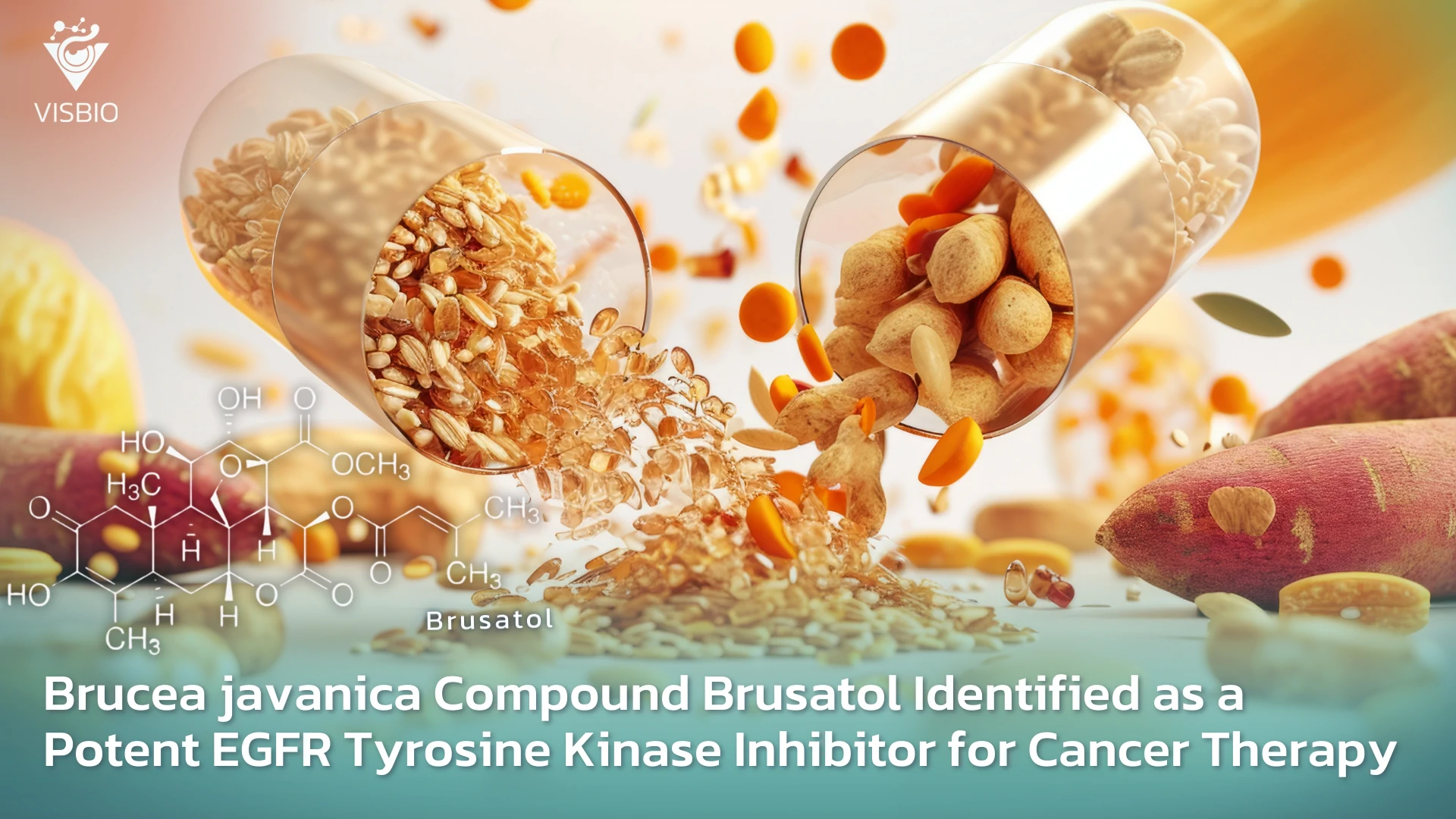 สารประกอบ Brusatol จาก Brucea javanica: ตัวยับยั้ง EGFR Tyrosine Kinase ที่มีศักยภาพสำหรับการรักษามะเร็ง