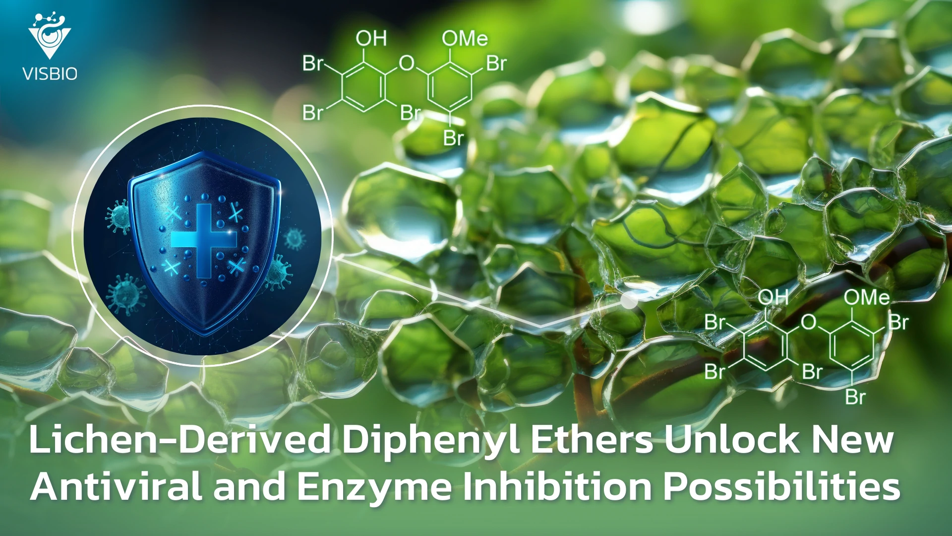 Lichen-Derived Diphenyl Ethers: เปิดโอกาสใหม่ในการต้านไวรัสและยับยั้งเอนไซม์