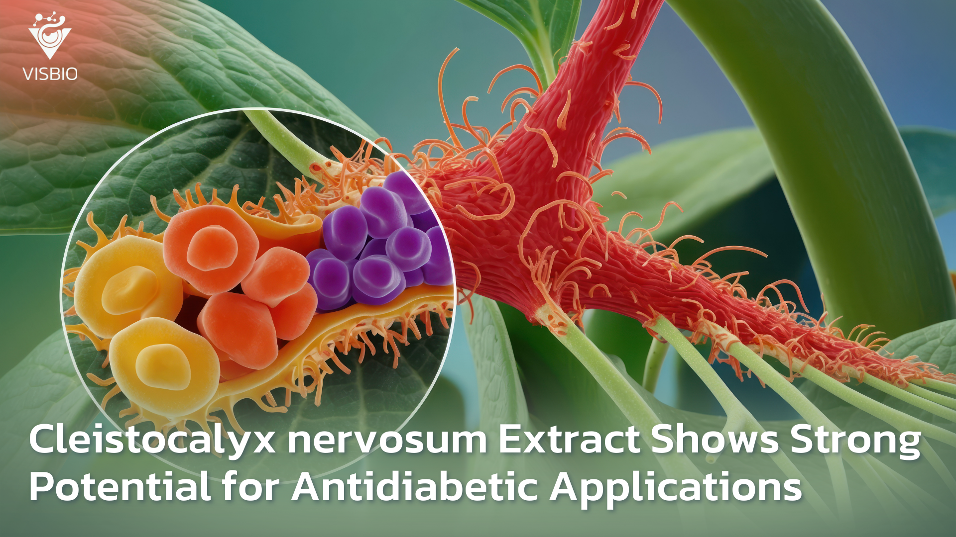 Cleistocalyx nervosum Extract Shows Strong Potential for Antidiabetic Applications