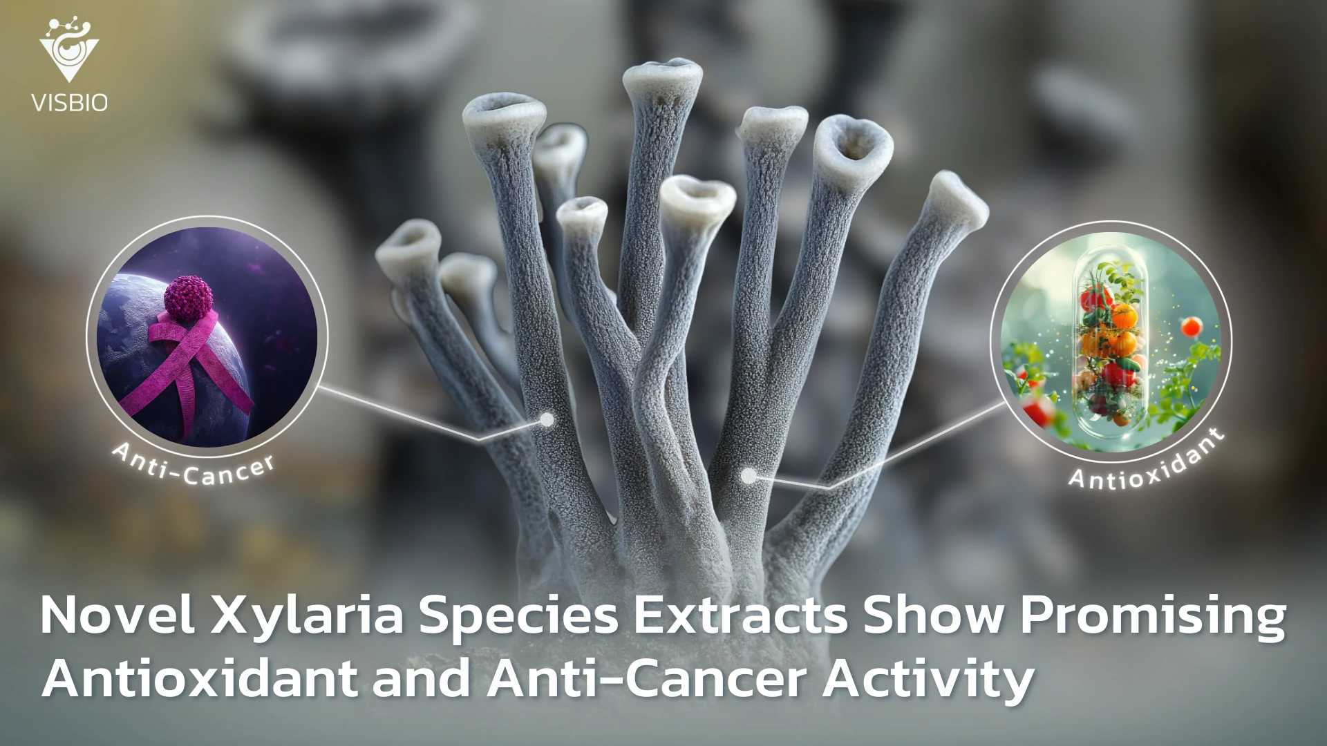Novel Xylaria Species Extracts Show Promising Antioxidant and Anti-Cancer Activity
