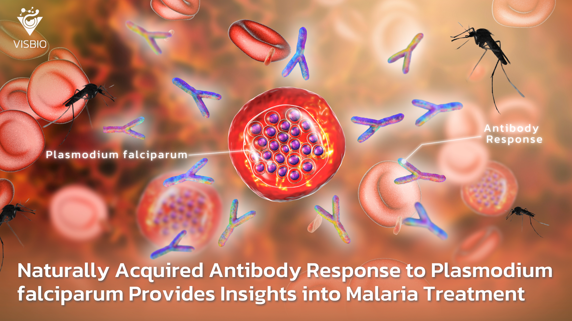 Naturally Acquired Antibody Response to Plasmodium falciparum Provides Insights into Malaria Treatment