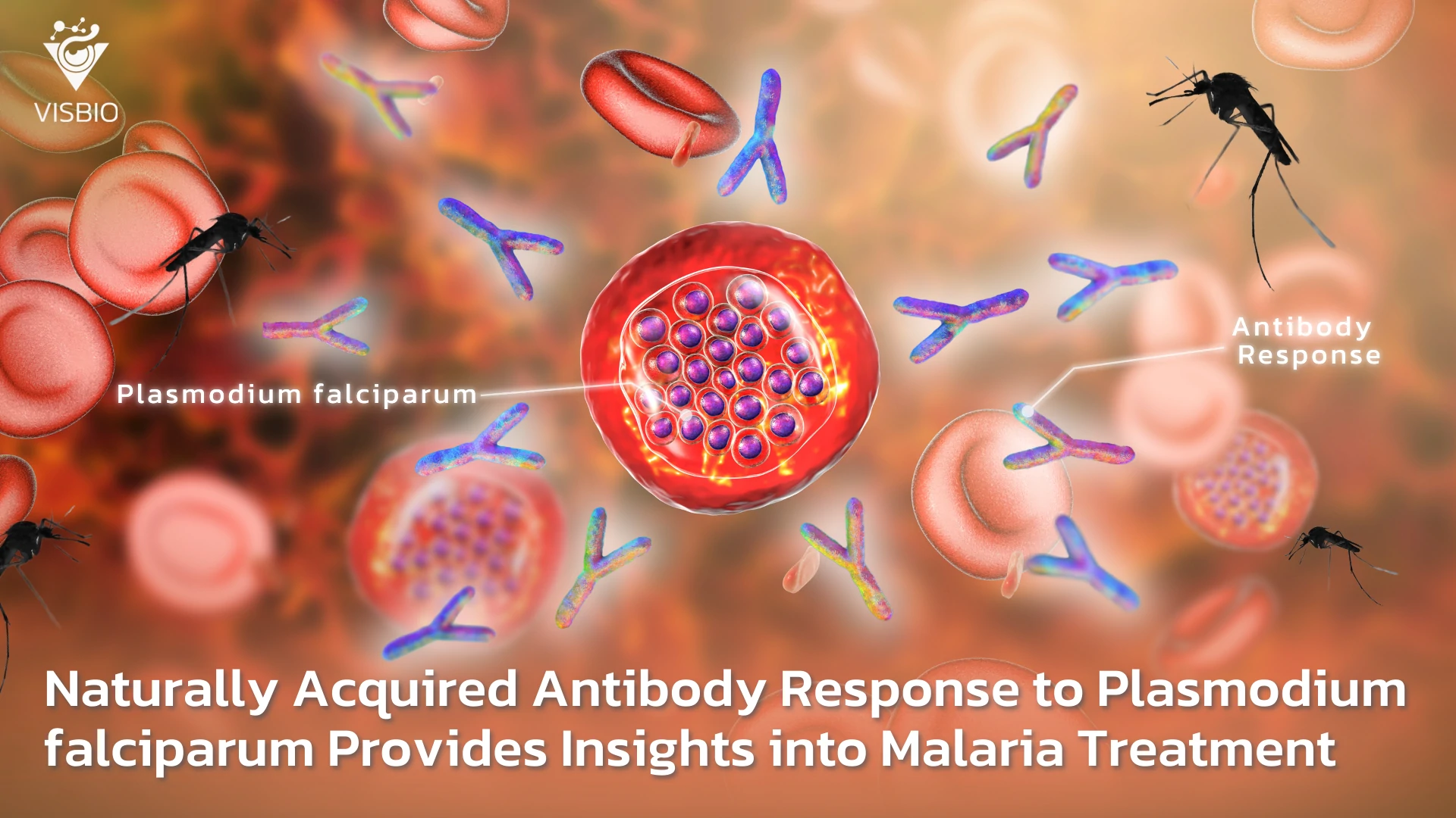 ภูมิคุ้มกันต่อ Plasmodium Falciparum: เปิดมุมมองใหม่ในการรักษาและป้องกันโรคมาลาเรีย