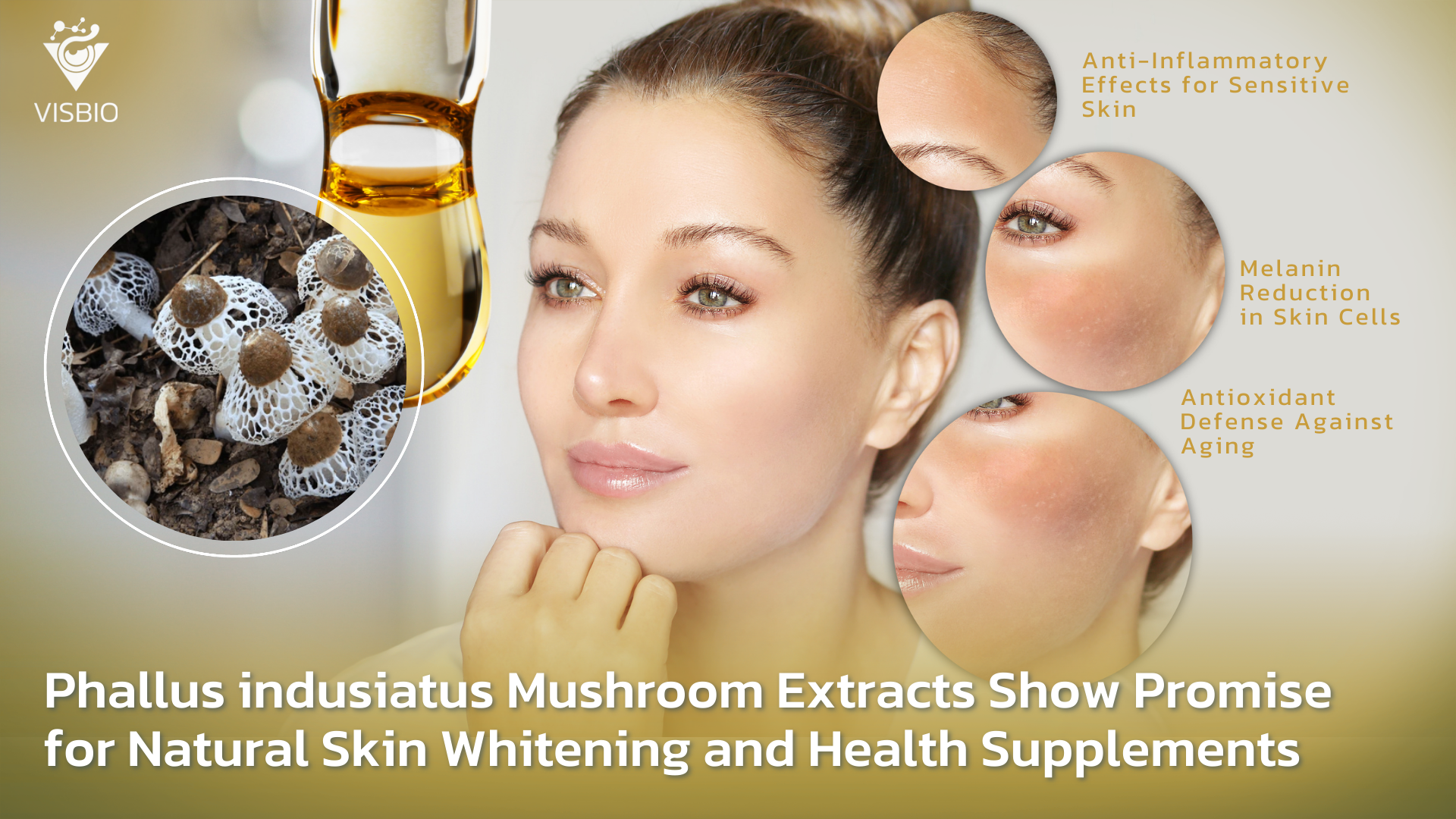 Phallus indusiatus Mushroom Extracts Show Promise for Natural Skin Whitening and Health Supplements