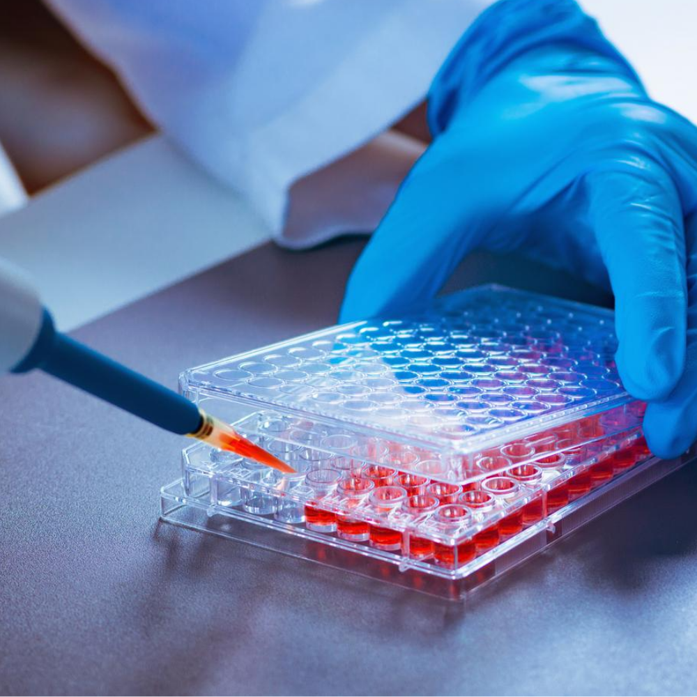 การทดสอบความปลอดภัยของผลิตภัณฑ์ด้วยเทคนิค Ex-Vivo - LDH Assay