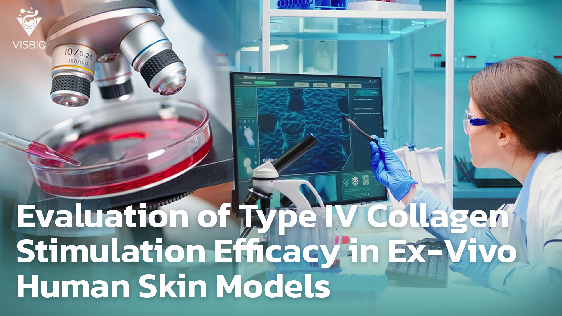 การประเมินประสิทธิภาพการกระตุ้นคอลลาเจนชนิดที่ 5 Ex-Vivo Human Skin Models