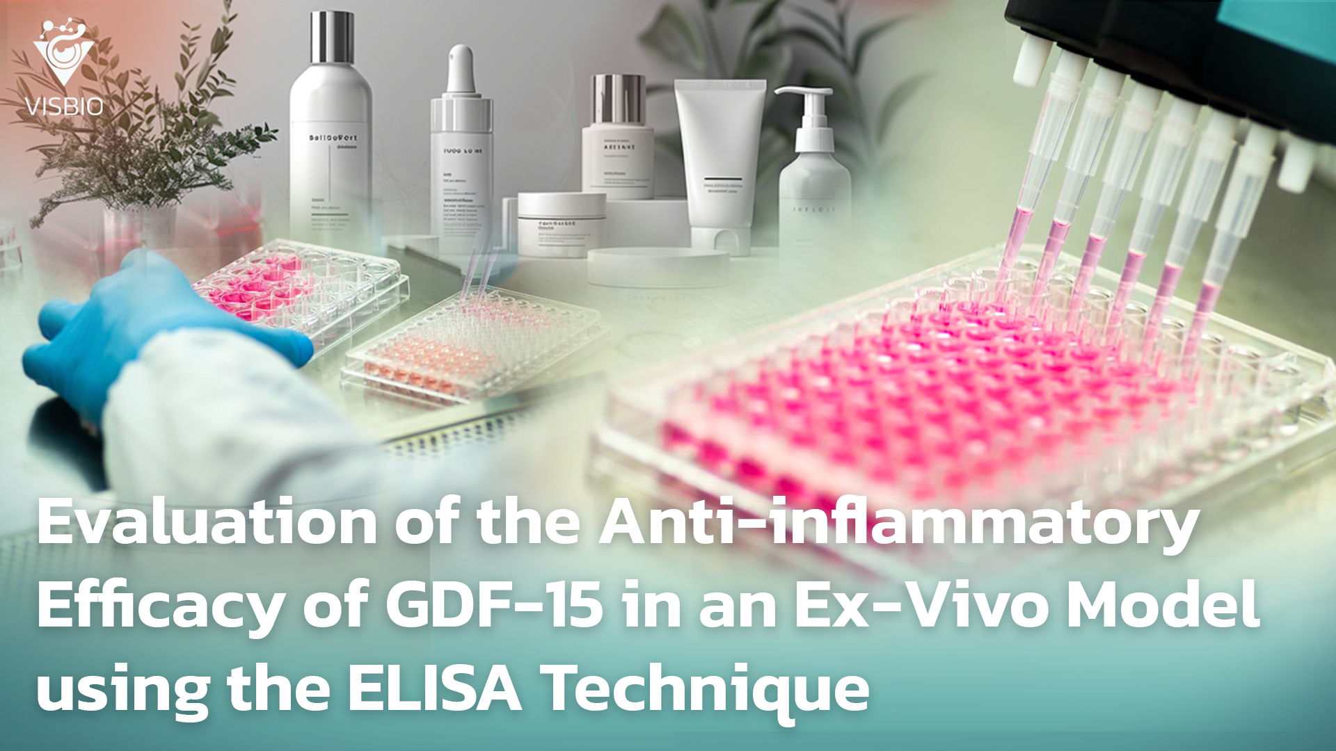 การประเมินประสิทธิภาพการต้านการอักเสบ GDF 15 แบบจำลอง Ex-Vivo ด้วยเทคนิค ELISA