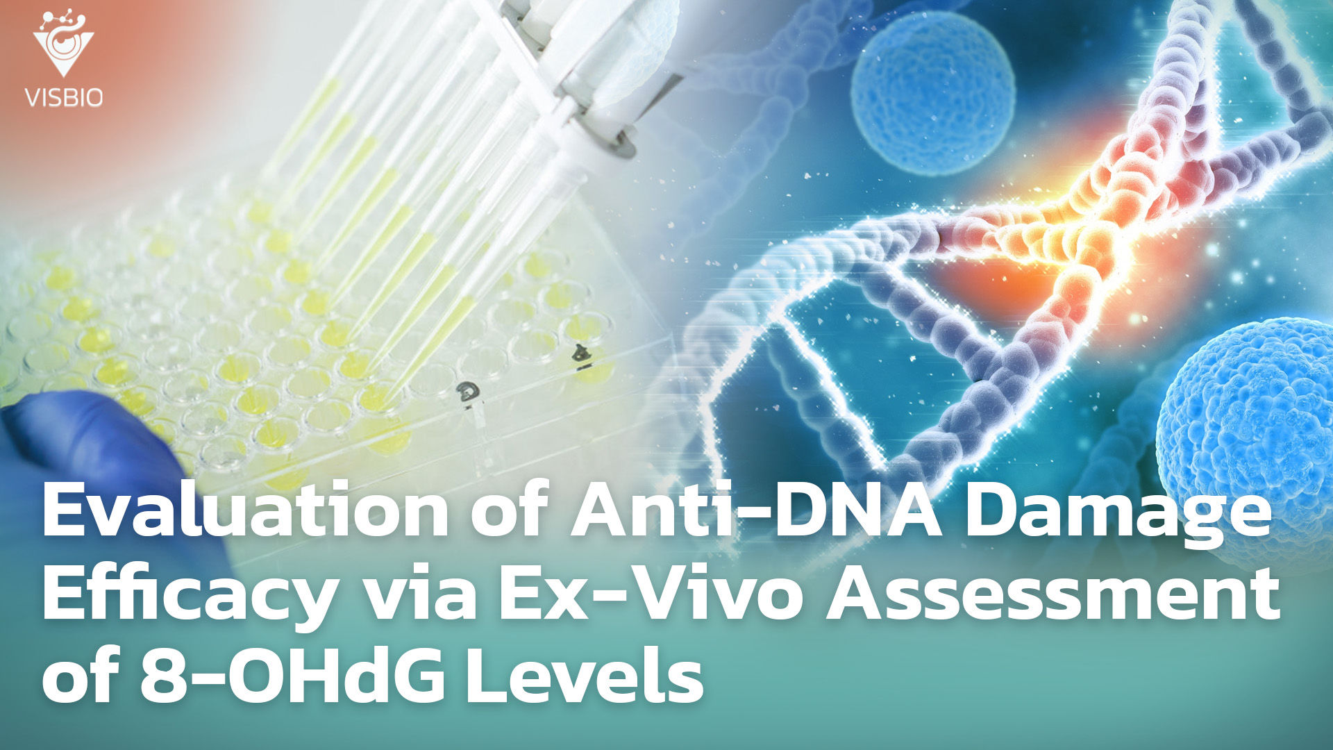 การประเมินประสิทธิภาพ Anti-DNA Damage ด้วยการทดสอบระดับ Ex-Vivo โดยใช้ 8-OHdG