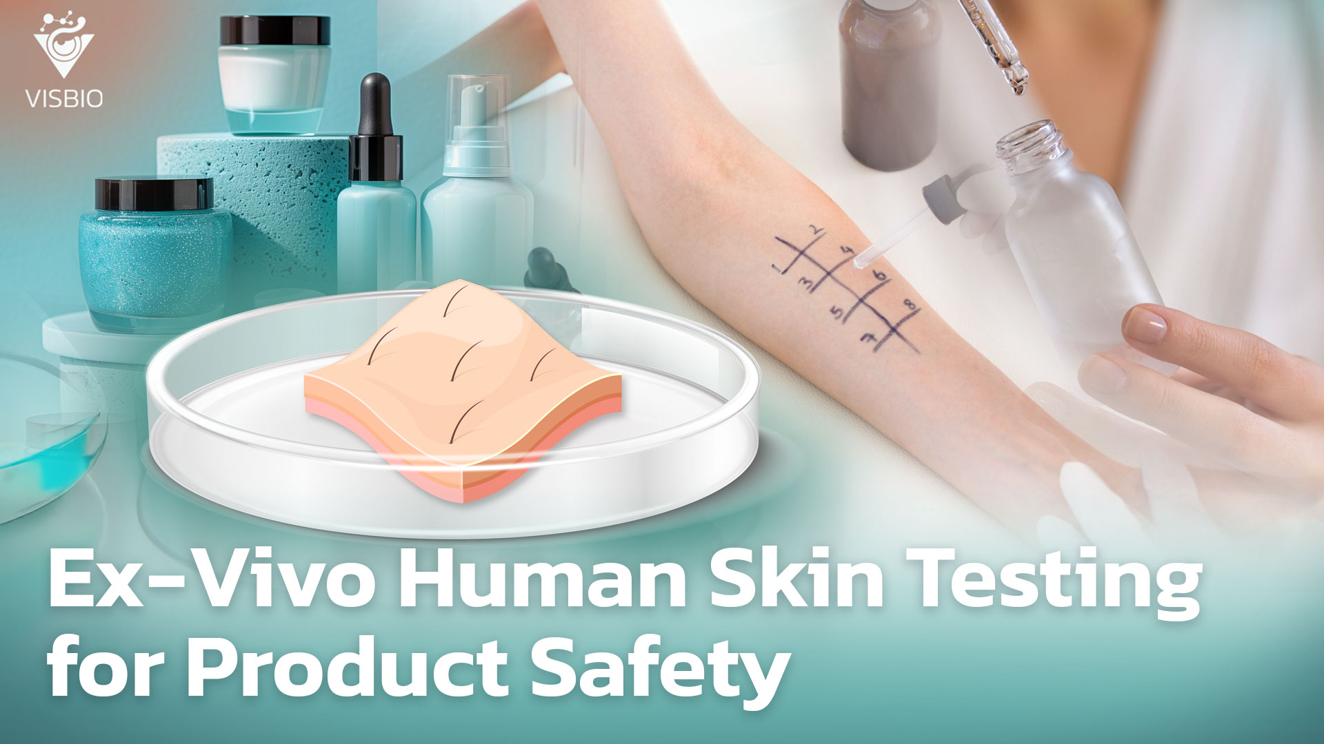 การทดสอบความปลอดภัยของผลิตภัณฑ์ด้วยเทคนิค Ex-Vivo