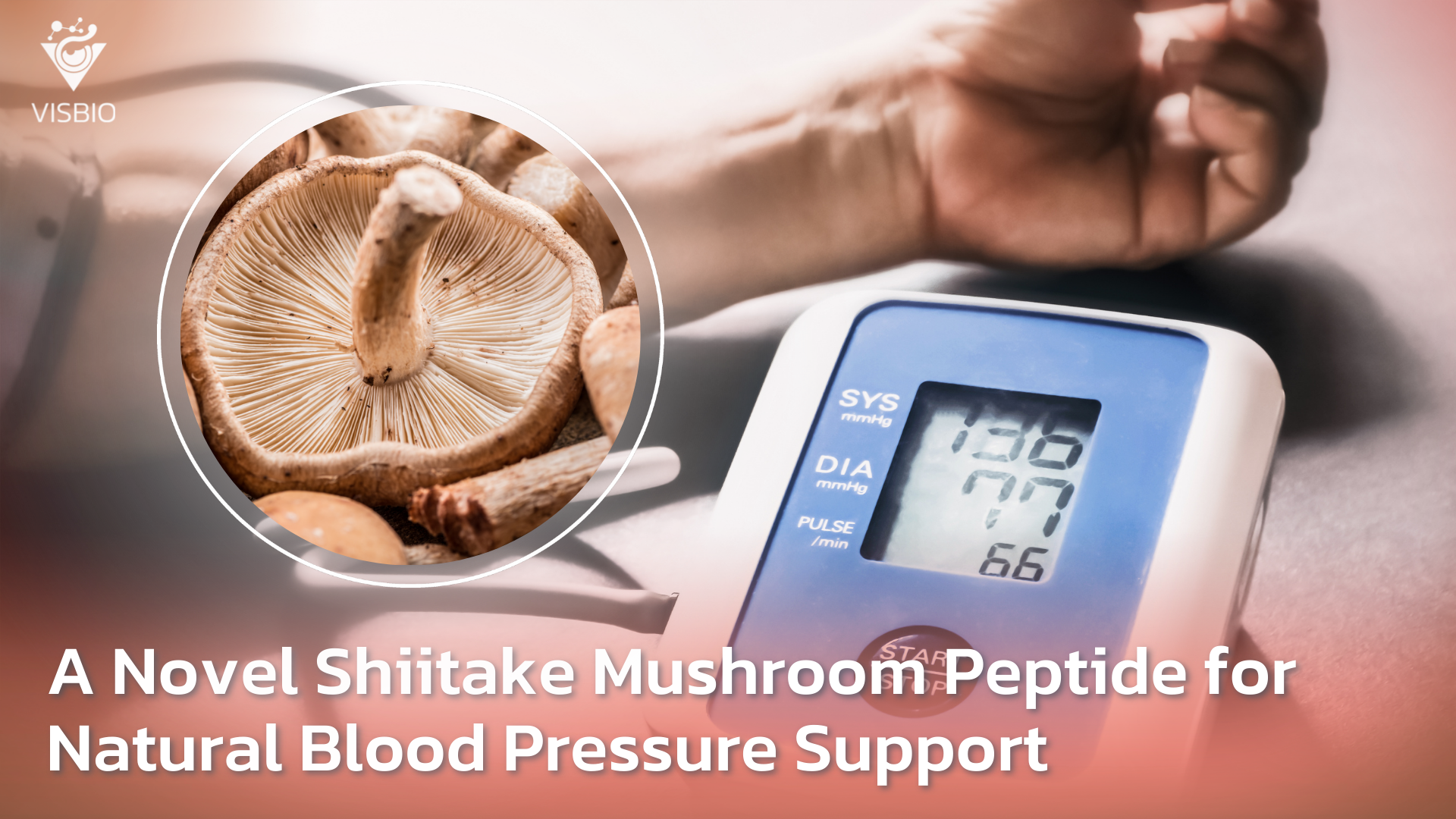 A Novel Shiitake Mushroom Peptide for Natural Blood Pressure Support