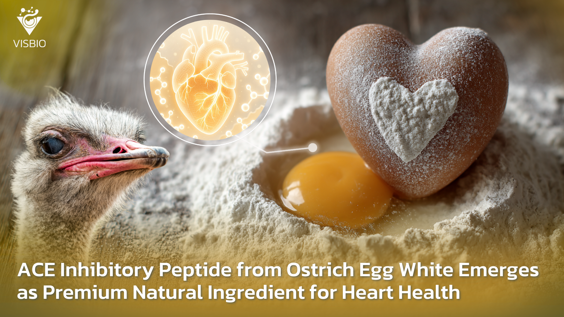 ACE Inhibitory Peptide from Ostrich Egg White Emerges as Premium Natural Ingredient for Heart Health