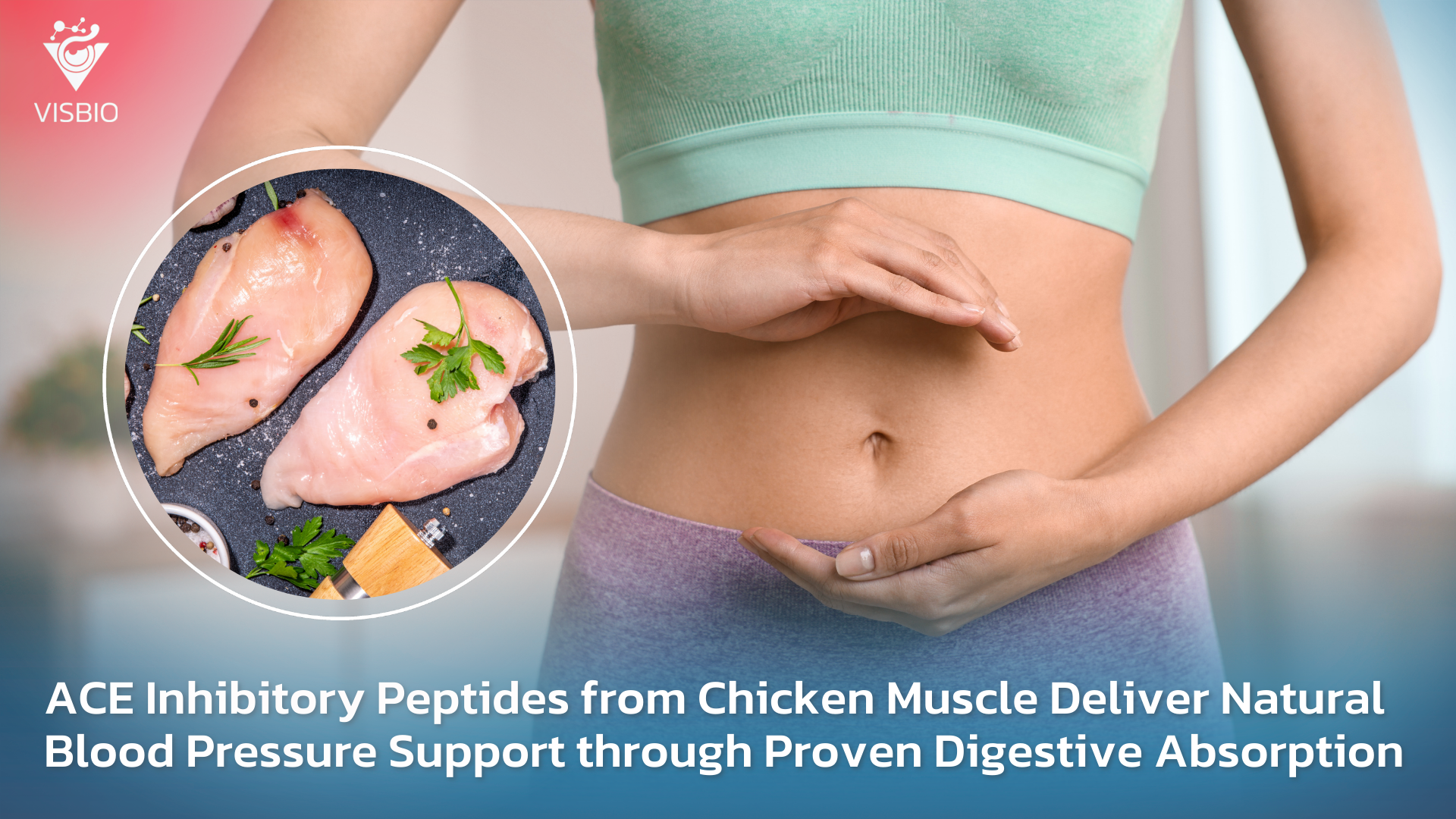 ACE Inhibitory Peptides from Chicken Muscle Offer Natural Blood Pressure Support with Proven Absorption