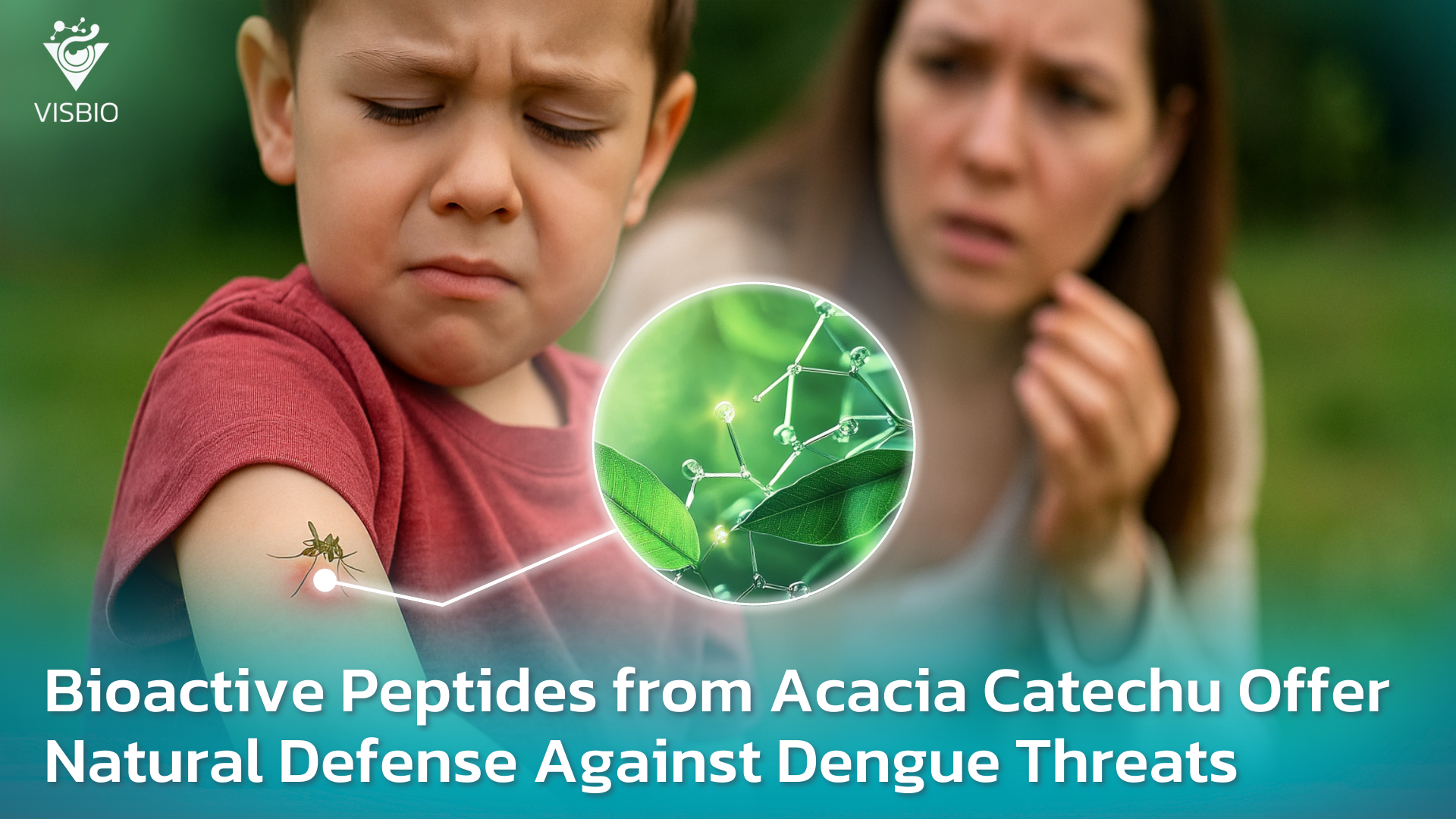 Acacia Catechu Peptides Offer a Natural Defense Against Viral Threats
