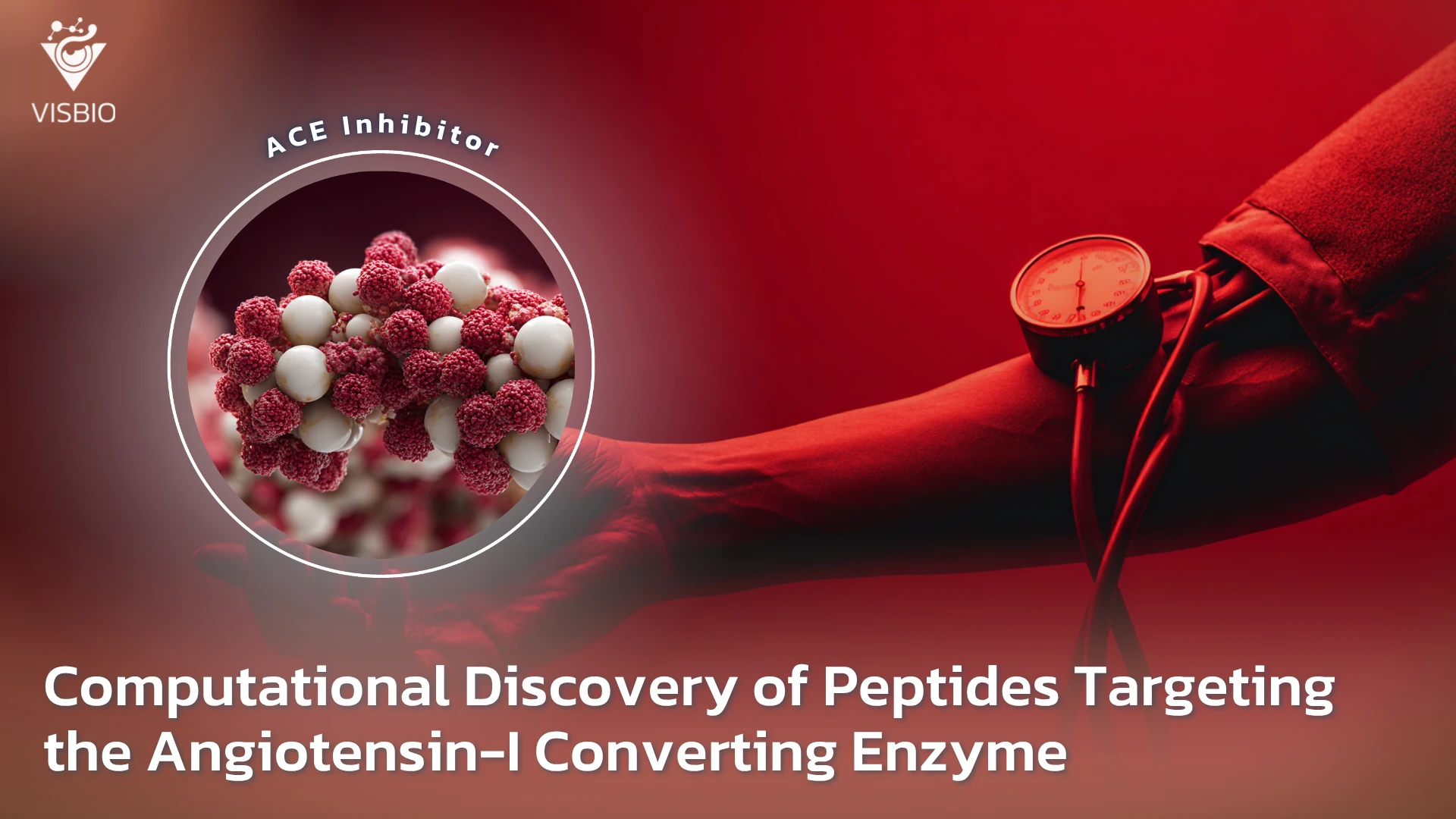 การค้นพบเปปไทด์ที่มุ่งเป้าไปที่ Angiotensin-I converting enzyme ด้วยคอมพิวเตอร์