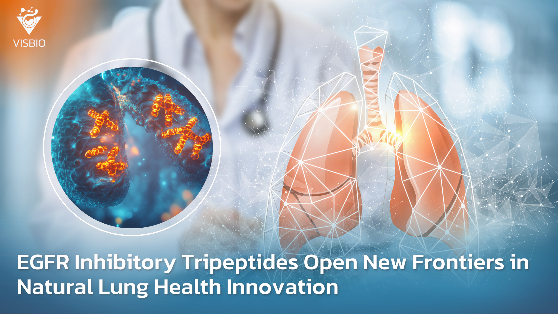EGFR Inhibitory Tripeptides Open New Frontiers in Natural Lung Health Innovation