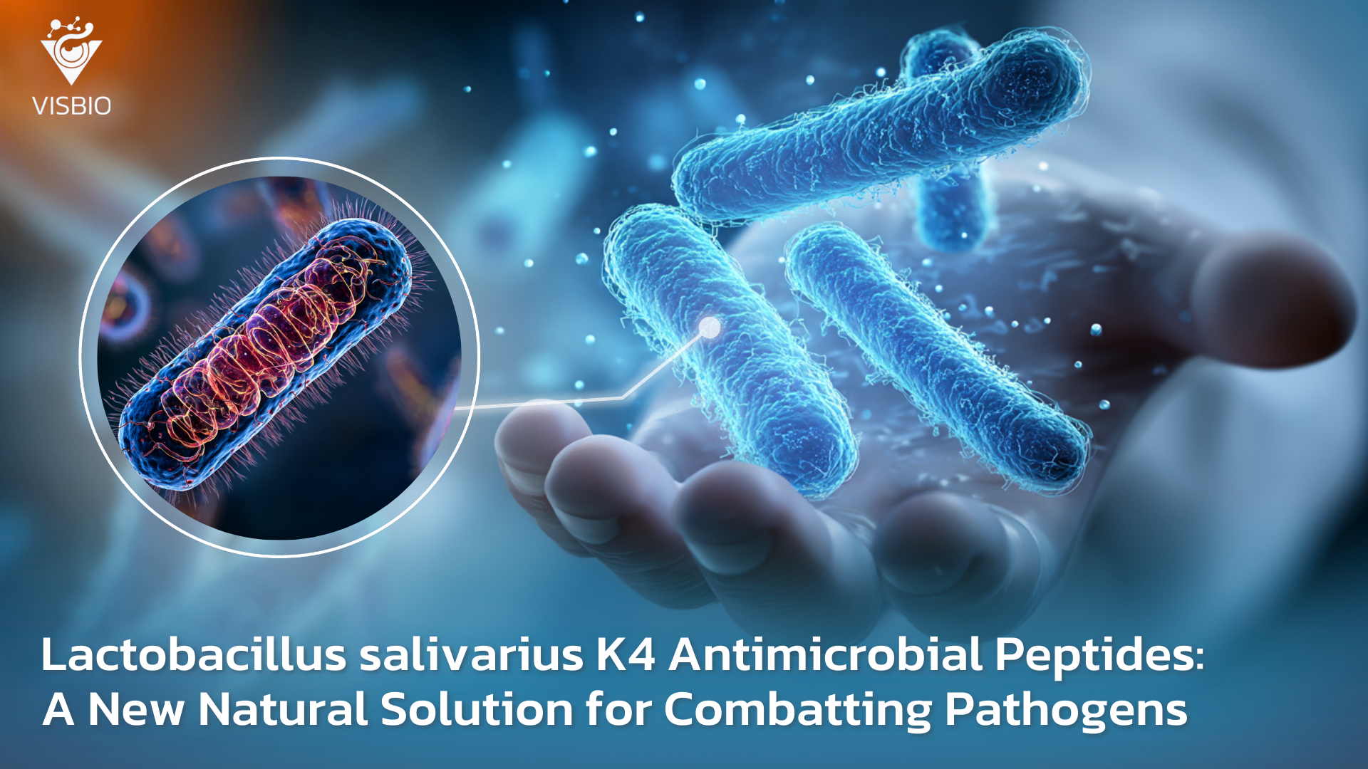 Lactobacillus salivarius K4 Antimicrobial Peptides A New Natural Solution for Combatting Pathogens