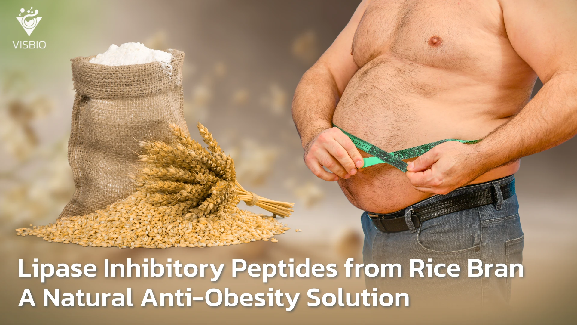 Lipase Inhibitory Peptides จากรำข้าว: แนวทางต้านภาวะน้ำหนักเกินและอ้วนจากสารธรรมชาติ