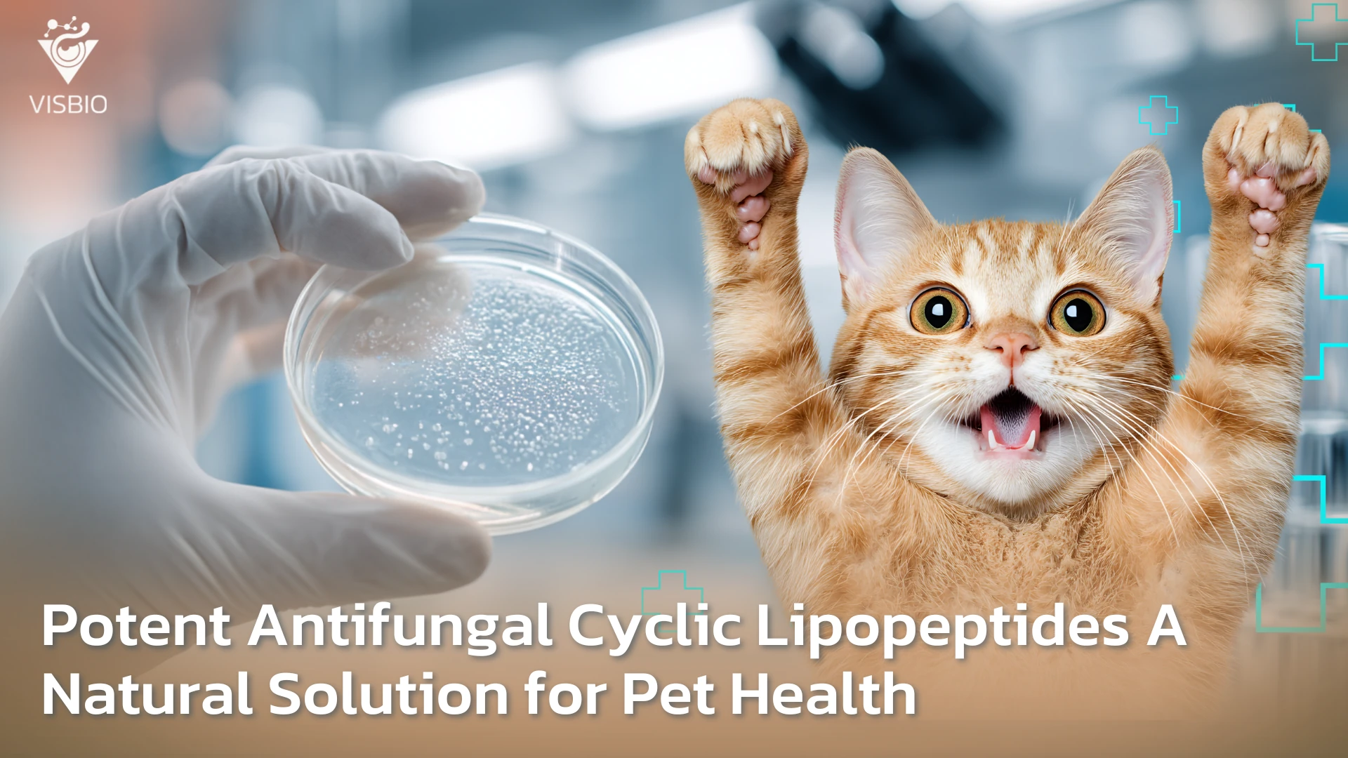 นวัตกรรมต้านเชื้อรา: การประยุกต์ใช้ Cyclic Lipopeptides เพื่อยกระดับสุขภาพสัตว์เลี้ยง