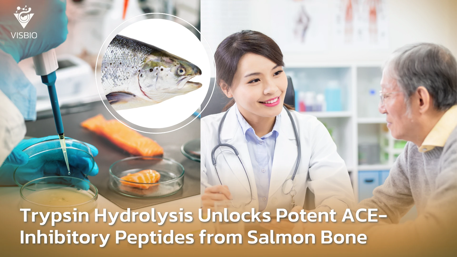 ทางเลือกต้านความดันโลหิตสูง: การสกัดเปปไทด์ Trypsin Hydrolysis ยับยั้ง ACE จากกระดูกปลาแซลมอน