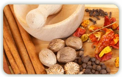 วัตถุดิบสมุนไพร แบบสด / แห้ง