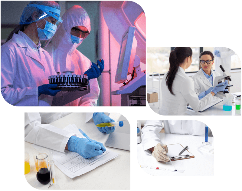 ขอบเขตการทดสอบ