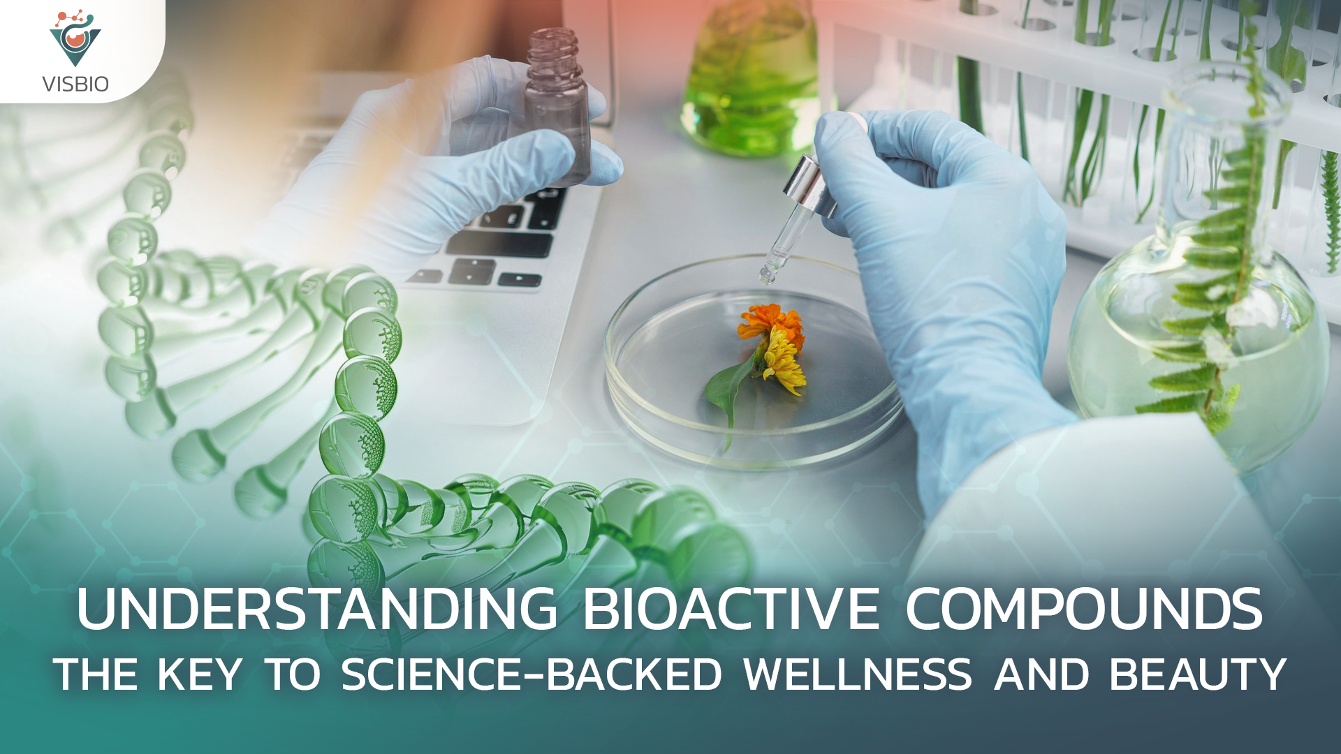 Understanding Bioactive Compounds: The Key to Science-backed Wellness and Beauty