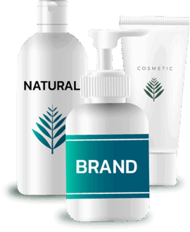 ข้อปฏิบัติสำคัญ (Quick Rules)