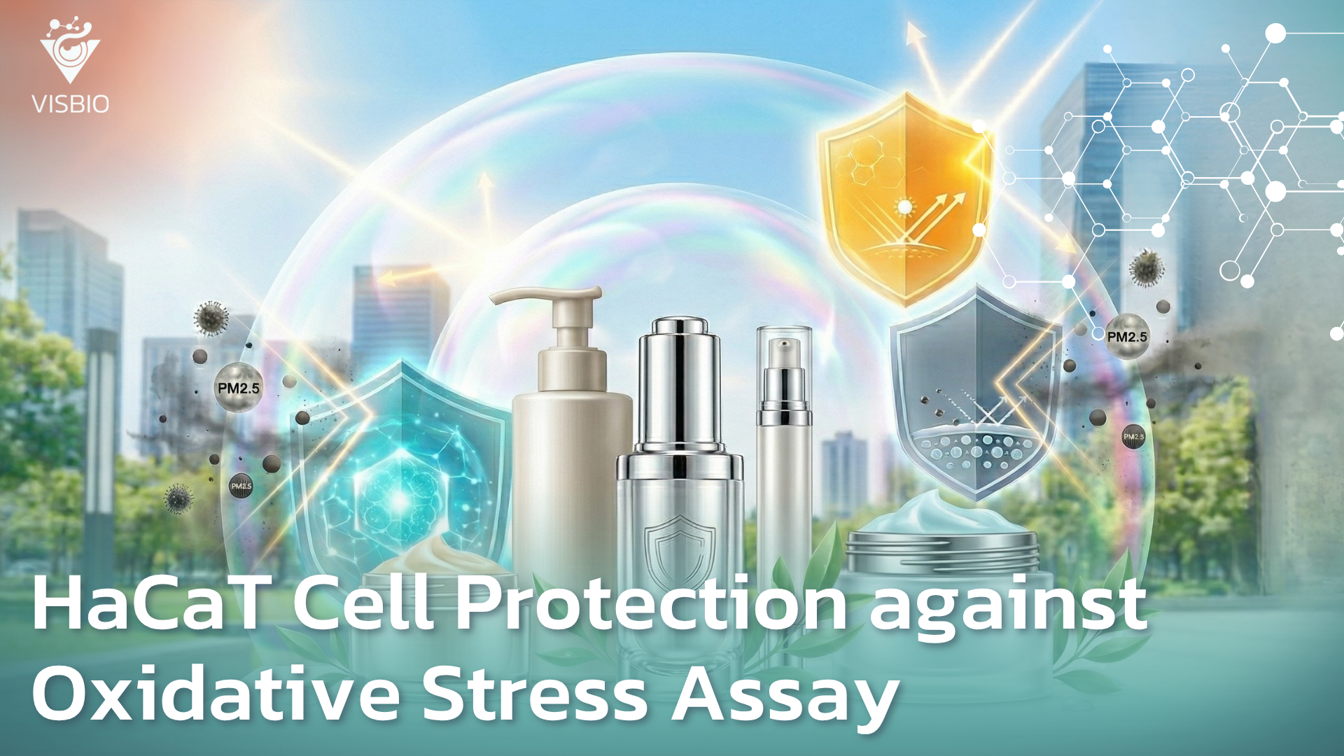 บริการทดสอบประสิทธิภาพต่อเซลล์ผิว HaCaT ในภาวะ Oxidative Stress