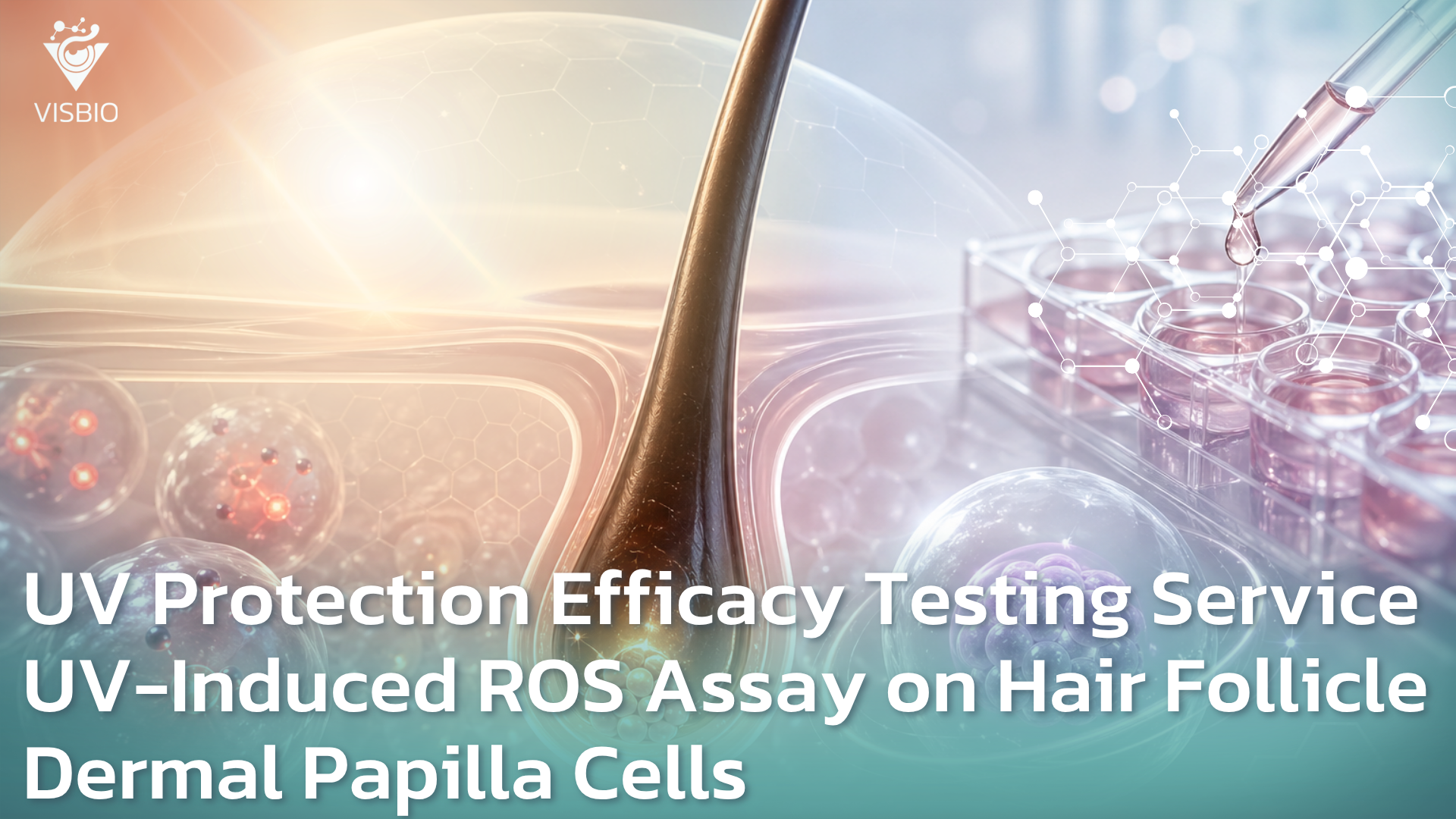 บริการทดสอบประสิทธิภาพการปกป้องเซลล์รากผมจากรังสี UV Protection HFDPCs