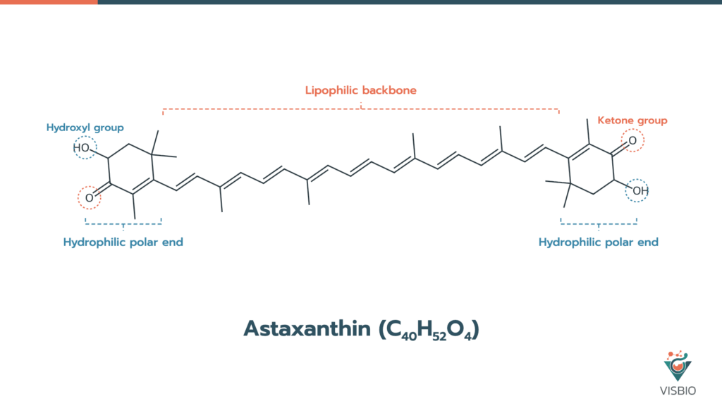 โครงสร้างทางเคมีของแอสตาแซนทิน (Astaxanthin, C40H52O4)