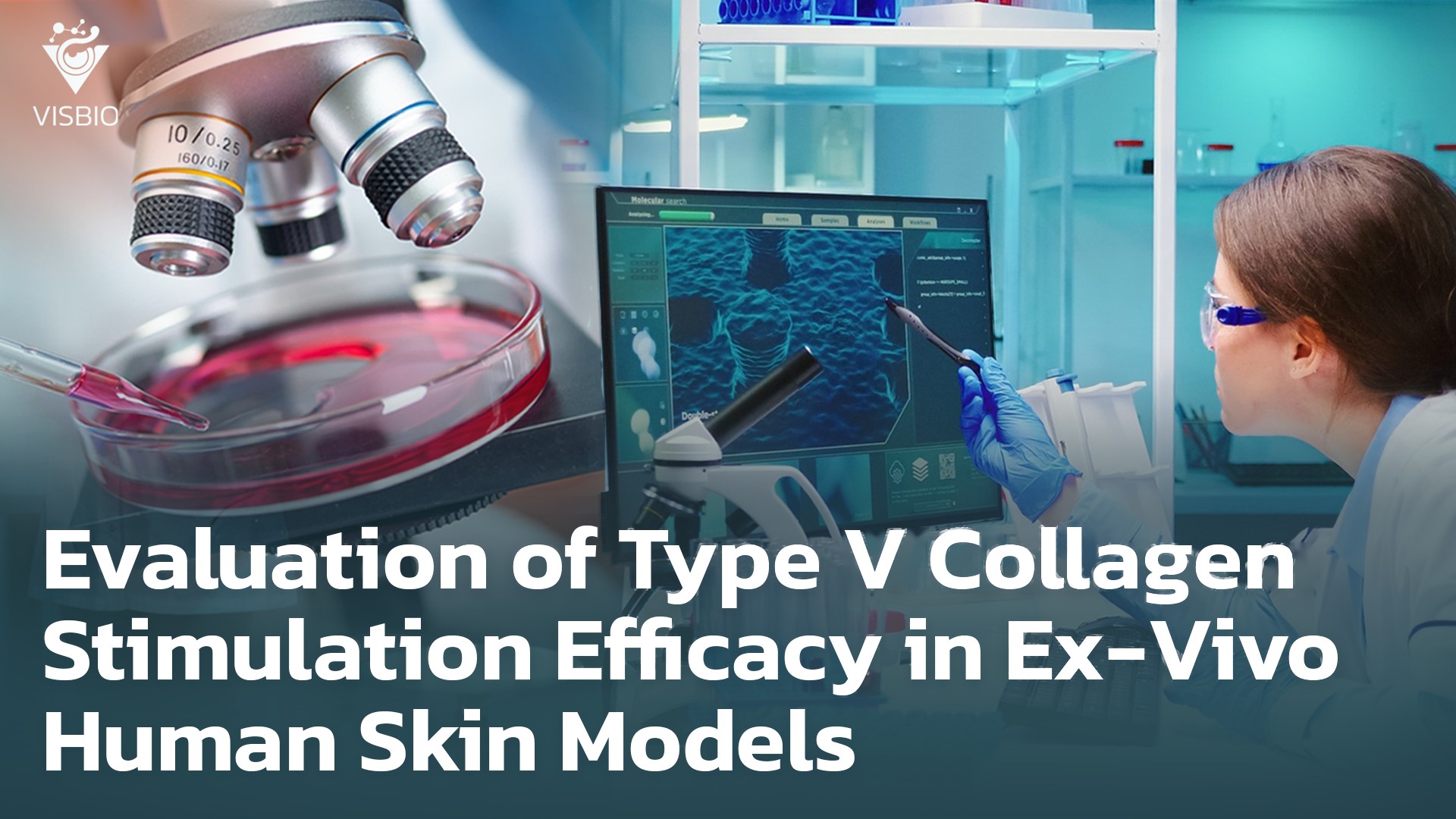 การประเมินประสิทธิภาพการกระตุ้นคอลลาเจน Collagen Stimulation Type V Ex-Vivo Human Skin Models